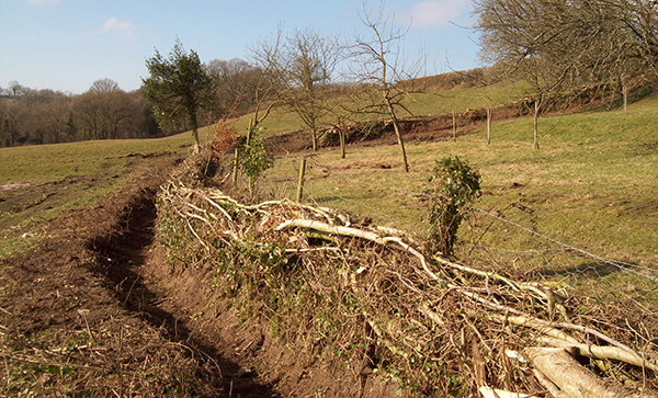 Devon Bank and Ditch